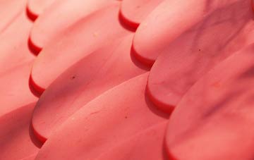 Doagh plastic roof costs