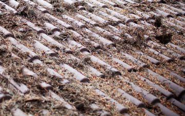 Doagh roof cleaning companies